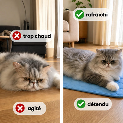 Tapis Rafraîchissant Faunea™