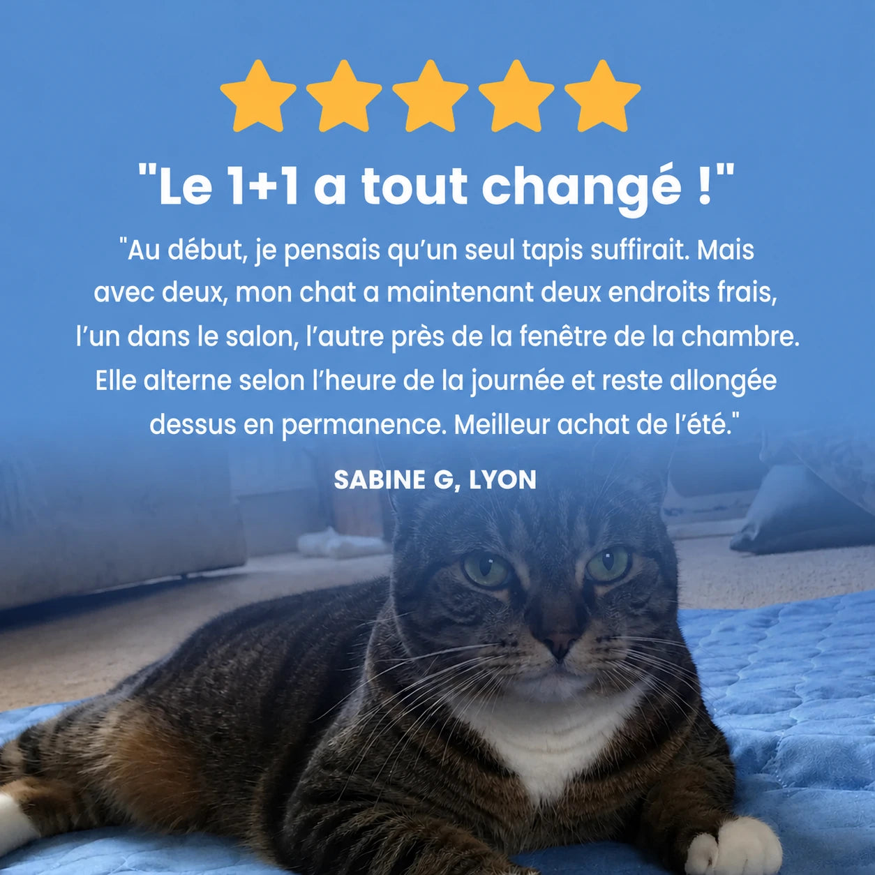 Tapis Rafraîchissant Faunea™