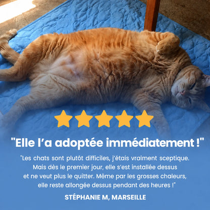 Tapis Rafraîchissant Faunea™